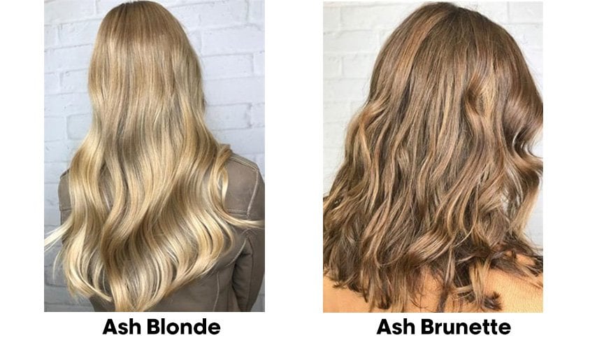 ash blonde ash brunette asset