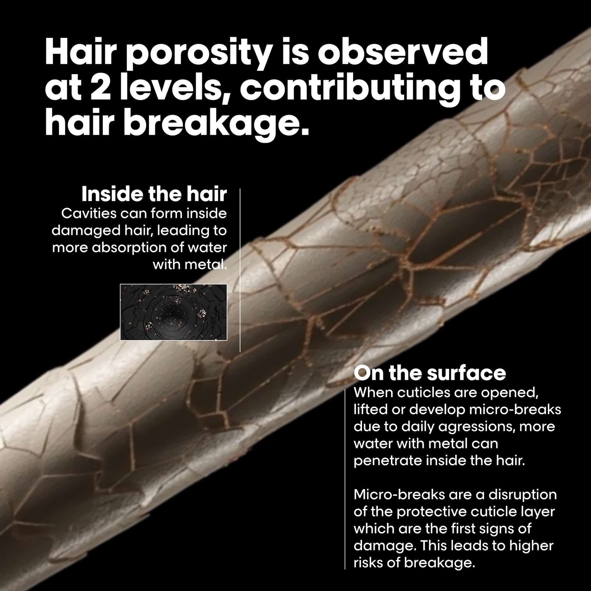 Anti-porosity filler pre-shampoo for breakage protection 6