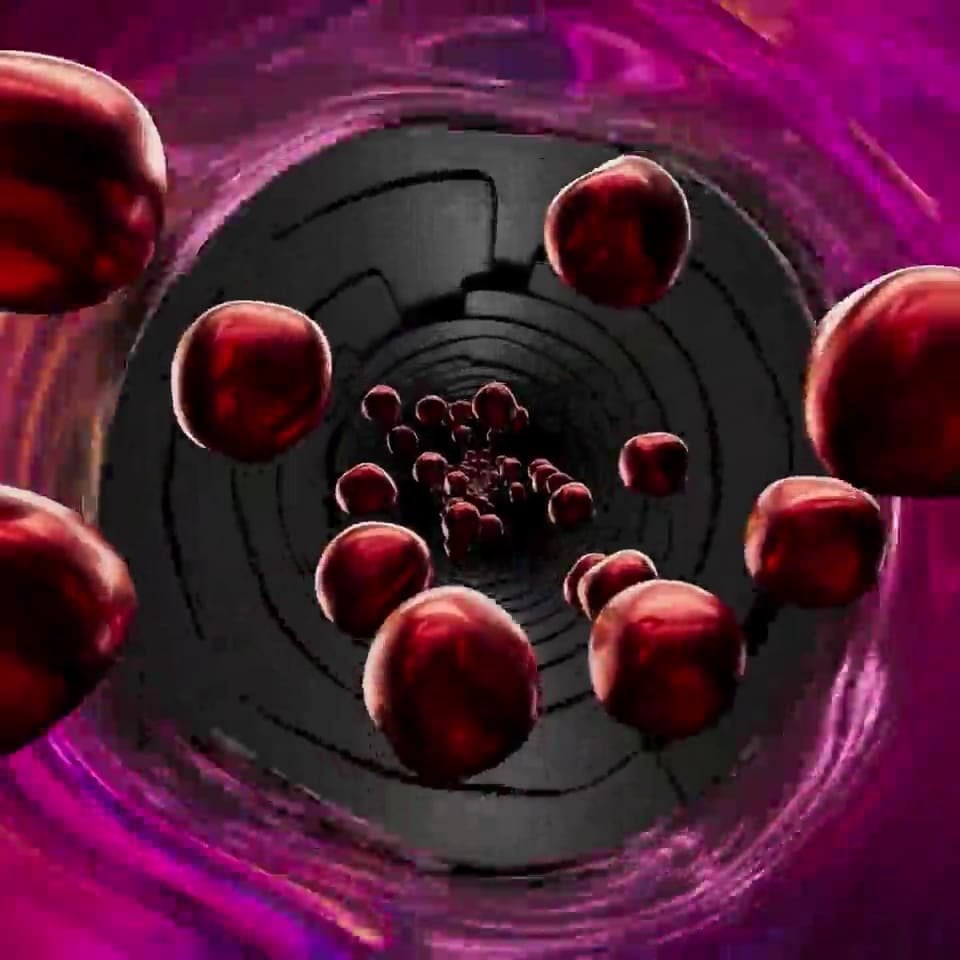 mixed-2024-10-vcs-science-1-mp4-poster
