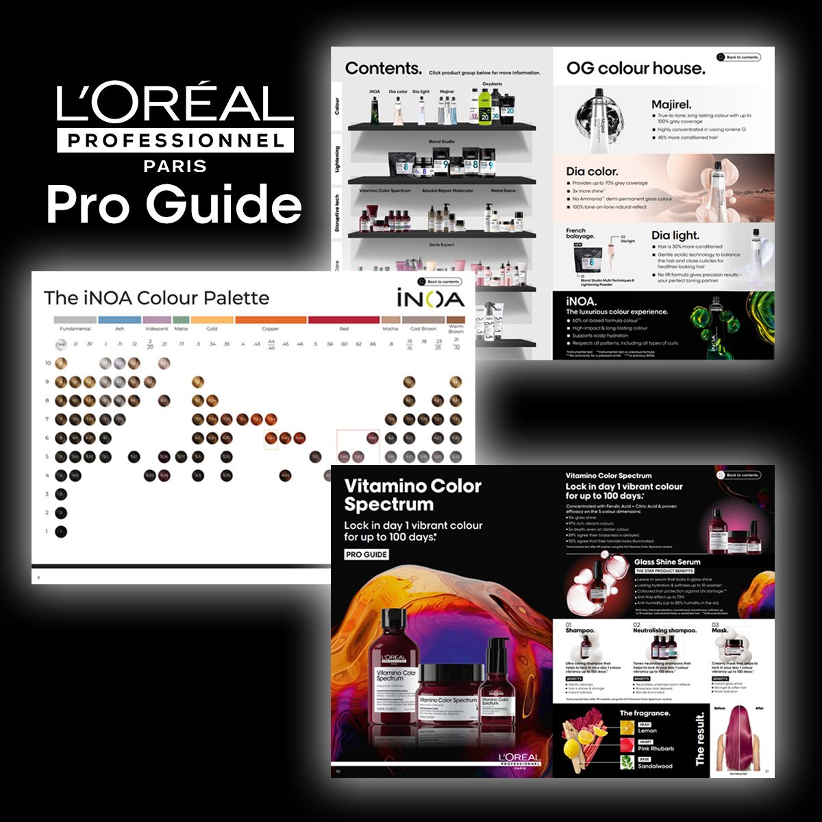 second image for pro guide page final